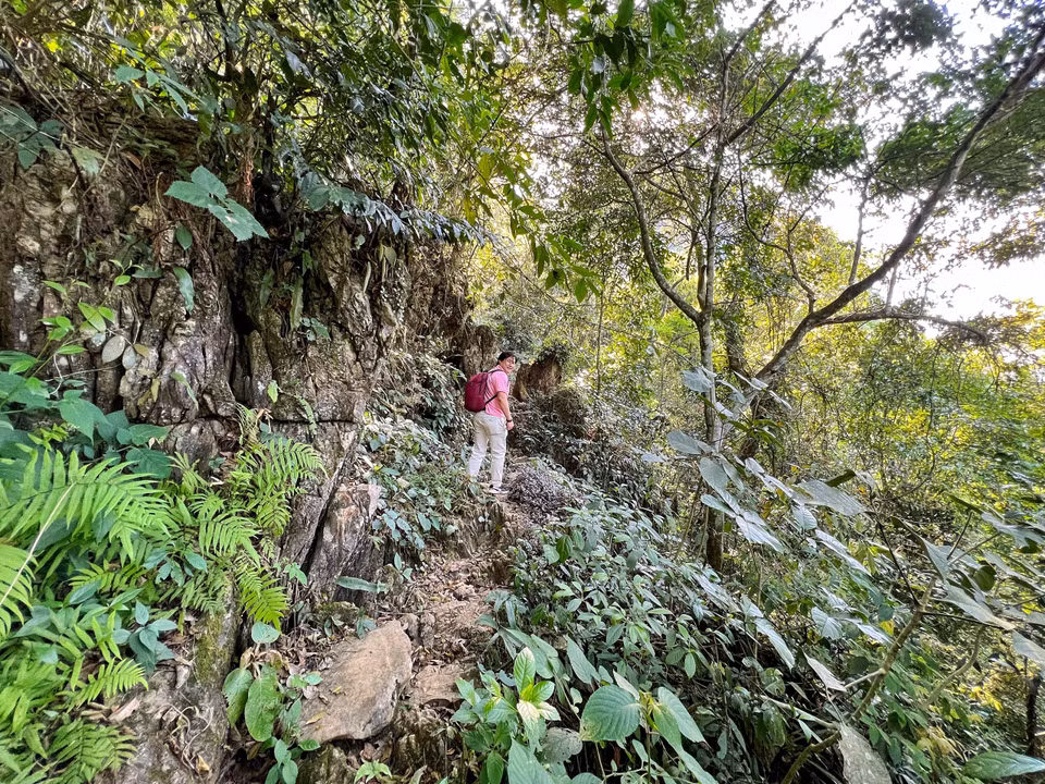 Cách trung tâm xã Vân Sơn gần 4km trên đường đi Làng Son, xã Nam Sơn, du khách sẽ bắt đầu hành trình trên con đường núi đá cổ dưới tán rừng xanh mát. (Ảnh: Mai Mai/Vietnam+)