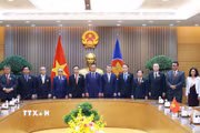 Thủ tướng Lê Minh Hưng với Trưởng đoàn các nước tham dự Hội nghị các nước ASEAN về hợp tác đấu tranh với tội phạm truy nã. (Ảnh: Dương Giang/TTXVN)