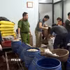 Lực lượng chức năng khám xét tại cơ sở sản xuất giá đỗ của đối tượng Phạm Thị Quỳnh sinh năm 1973, trú tại khu Kim Lăng, phường Quảng Yên. (Ảnh: TTXVN phát)