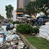 Rác thải từ chợ tự phát gây ô nhiễm môi trường. (Ảnh: Hương Giang/TTXVN)