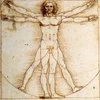 Bức họa “The Vitruvian Man” 