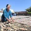 Bà Nguyễn Thị Em, hộ làm cá khô tại làng nghề cá khô Bình Thắng (xã Bình Đại, tỉnh Vĩnh Long). (Ảnh: Huỳnh Phúc Hậu/TTXVN)