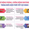 Chủ động phòng, chống bệnh Whitmore trong điều kiện thời tiết cực đoan 