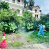 Nhân viên y tế phun hóa chất diệt muỗi tại phường Hải Dương. (Ảnh: TTXVN phát)