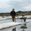 Dù thức xuyên đêm cào muối "chạy mưa" nhưng gia đình ông Lương Văn Được tại xã Long Điền (Thành phố Hồ Chí Minh) vẫn bị thiệt hại nặng. (Ảnh: Hoàng Nhị/TTXVN)