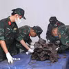 Các quy trình sau khi khai quật hài cốt liệt sỹ được thực hiện cẩn thận, tỉ mỉ, khoa học, đảm bảo an toàn. (Ảnh: Xuân Khu/TTXVN)