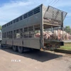 Phương tiện chở 220 con lợn bị lực lượng chức năng bắt giữ. (Ảnh: TTXVN phát)