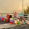 Người dân bán hàng rong trên cầu Đại Ngãi 2. (Ảnh: TTXVN phát)