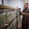 Chùa còn lưu giữ bộ kinh Phật khắc trên gỗ thị được đánh giá là cổ nhất của dòng thiền Lâm Tế. (Ảnh: Danh Lam/TTXVN)
