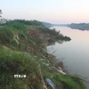 Tại thôn Yên Lạc, xã Vĩnh Lộc, dọc bờ sông Mã đoạn chảy qua địa bàn đang có nguy cơ sạt lở đất đất nông nghiệp của người dân và uy hiếp tính mạng của gần 20 hộ dân quanh vùng. (Ảnh: Khiếu Tư /TTXVN)