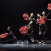 Một tiết mục trong "Mùa Hàn Quốc (Korea Season)"