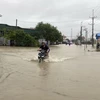 Nước lũ tràn qua đường giao thông liên xã nối Thuận Nam với Phước Dinh. (Ảnh: Công Thử/TTXVN)
