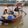 Cá mòi được đánh bắt bằng lưới truyền thống tại khúc sông Hồng chạy qua phường Phố Hiến (Hưng Yên). (Ảnh: Mạnh Khánh/TTXVN)