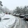 Tuyết rơi dày chưa từng có trong nhiều thập kỷ. (Nguồn: The Watchers)