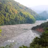 Tình trạng rác, gỗ phủ kín mặt sông Nậm Nơn, lòng hồ Thủy điện Bản Vẽ ảnh hưởng nghiêm trọng đến giao thông đường thủy. (Ảnh: Xuân Tiến/TTXVN)