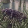Tyrannoroter heberti, động vật có xương sống ăn cỏ trên cạn. (Nguồn: Sci)