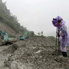 Sạt lở tại Đèo Lò Xo. (Ảnh: TTXVN)