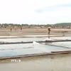 Những cánh đồng muối Sa Huỳnh ở thị xã Đức Phổ, tỉnh Quảng Ngãi. (Ảnh: TTXVN phát)