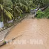 TP. Hồ Chí Minh có 43 vị trí sạt lở bờ sông, kênh, rạch nguy hiểm và đặc biệt nguy hiểm. (Ảnh: Lê Thúy Hằng/TTXVN)