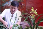 Địa Lan trong không gian Tết miền Bắc: Một tháng nở hoa, cả năm chờ đợi