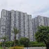 Người trẻ dưới 35 tuổi được vay mua nhà ở xã hội với lãi suất 5,9%. (Ảnh: Vietnam+)