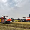 Agribank đẩy mạnh cho vay sản xuất, kinh doanh lúa gạo