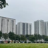 Người dưới 35 tuổi được vay lãi suất ưu đãi mua nhà ở xã hội. (Ảnh: Vietnam+)