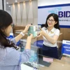 Nhiều ngân hàng đẩy mạnh tín dụng xanh nhằm thúc đẩy tăng trưởng bền vững tại Việt Nam. (Ảnh: Vietnam+)