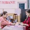 Agribank tung gói tín dụng ưu đãi 10.000 tỷ đồng giúp người trẻ dễ dàng tiếp cận nguồn vốn mua nhà ở. (Ảnh: Vietnam+)