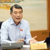 Thủ tướng Lê Minh Hưng, Đại biểu Quốc hội thành phố Hải Phòng phát biểu tại tổ. Ảnh: An Đăng - TTXVN