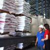 Agribank tiếp lực doanh nghiệp bứt phá tăng trưởng năm 2026. (Ảnh: Vietnam+)