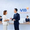 VIB triển khai giải pháp tài chính dành cho doanh nghiệp vừa và nhỏ. (Ảnh: Vietnam+)