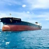 Tập đoàn Hòa Phát đưa vào khai thác tàu The Momentum 110.000 DWT. (Ảnh: Vietnam+)