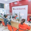 Agribank đầu tư nguồn lực thúc đẩy tài chính toàn diện quốc gia. (Ảnh: Vietnam+)