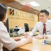 Agribank dành 30.000 tỷ đồng cho khách hàng cá nhân vay phục vụ đời sống. (Ảnh: Vietnam+)