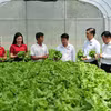 Agribank mở rộng vốn tín dụng ưu đãi lĩnh vực nông, lâm, thủy sản lên 20.000 tỷ đồng. (Ảnh: Vietnam+)