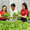 Từ nguồn vốn vay của Agribank, nhiều cá nhân, hộ gia đình đã phát triển hiệu quả mô hình sản xuất kinh doanh, thoát nghèo và vươn lên làm giàu. (Ảnh: Vietnam+)