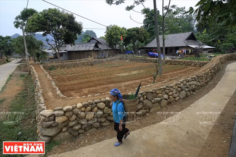 Trước mỗi ngôi nhà của người Giáy ở bản San Thàng đều có một mảnh vườn nhỏ được quây bởi những hòn đá cuội. (Ảnh: Việt Cường)