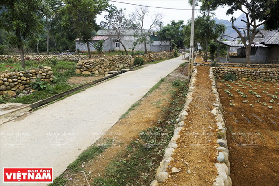 Trước kia con đường qua bản cũng được xếp bằng đá cuội. Để thuận lợi cho giao thông, sau này chính quyền tỉnh đã bêtông hóa con đường nhưng những bờ rào đá vẫn được giữ nguyên vẹn. (Ảnh: Việt Cường)