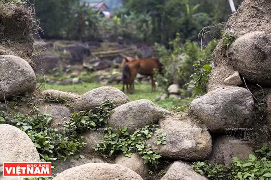 Một góc bức tường có tuổi đời hàng trăm năm ở Phố Đá San Thàng. (Ảnh: Thông Thiện)