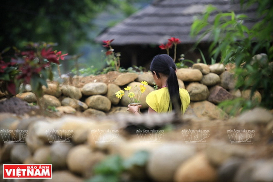 Trẻ em người Giáy vui đùa bên những bờ rào đá cuội độc đáo ở San Thàng. (Ảnh: Việt Cường)