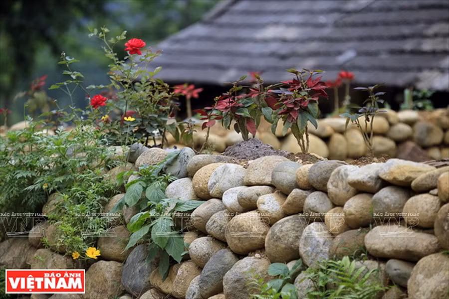 Nếp nhà của người Giáy ở Phố Đá thường ở xa đường và được che chở bởi những hàng rào đá. (Ảnh: Việt Cường)