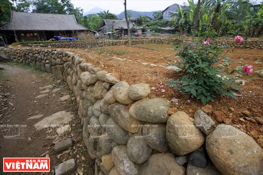 Những viên đá có kích thước khác nhau được lấy từ suối San Thàng ngay cạnh bản về xếp thành hàng rào đá cuội. (Ảnh: Việt Cường)