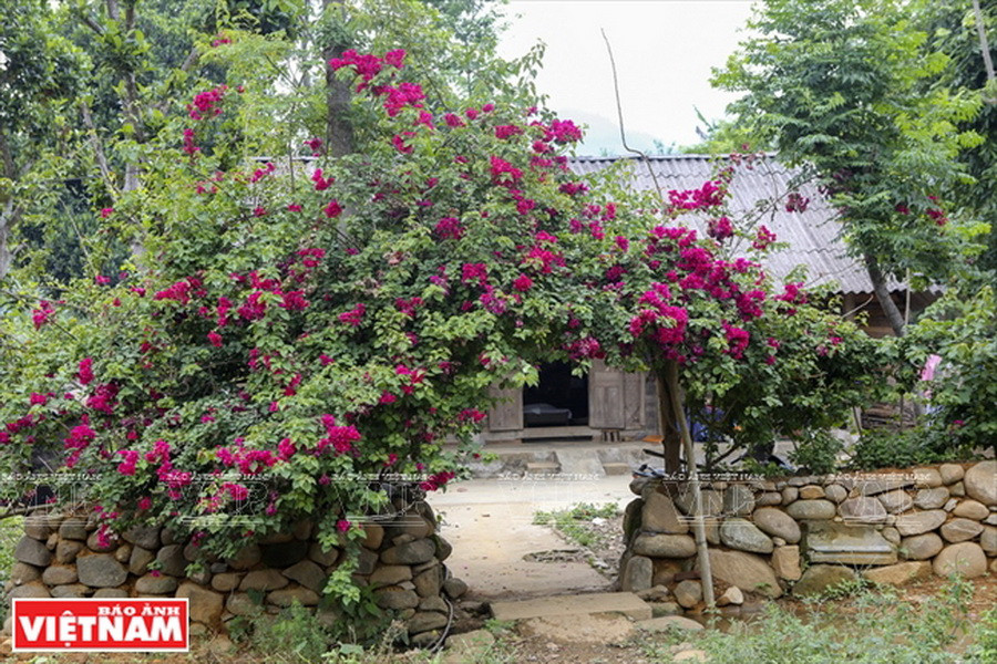 Đá cuội được người Giáy ở Phố Đá xếp thành nhiều những công trình kiến trúc xinh xắn. (Ảnh: Thông Thiện)