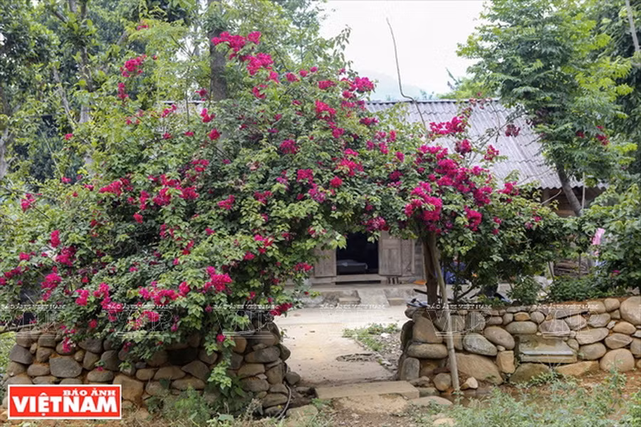 Đá cuội được người Giáy ở Phố Đá xếp thành nhiều những công trình kiến trúc xinh xắn. (Ảnh: Thông Thiện)