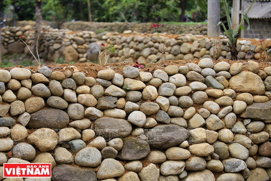 Thông thường, người Giáy xếp những hòn đá cuội có kích thước lớn ở dưới, kích thước nhỏ ở trên. Để tăng thêm sự liên kết giữa những viên đá họ đổ đất ở giữa tường rồi nèn chặt. (Ảnh: Việt Cường)