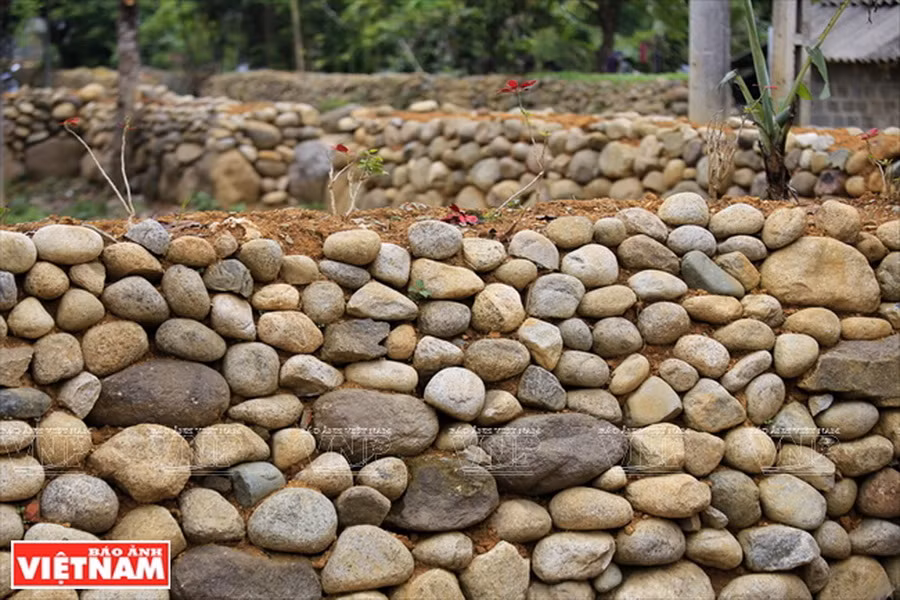 Thông thường, người Giáy xếp những hòn đá cuội có kích thước lớn ở dưới, kích thước nhỏ ở trên. Để tăng thêm sự liên kết giữa những viên đá họ đổ đất ở giữa tường rồi nèn chặt. (Ảnh: Việt Cường)