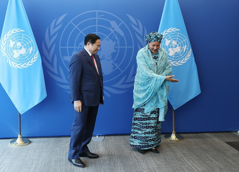 (Ảnh: Dương Giang/TTXVN)