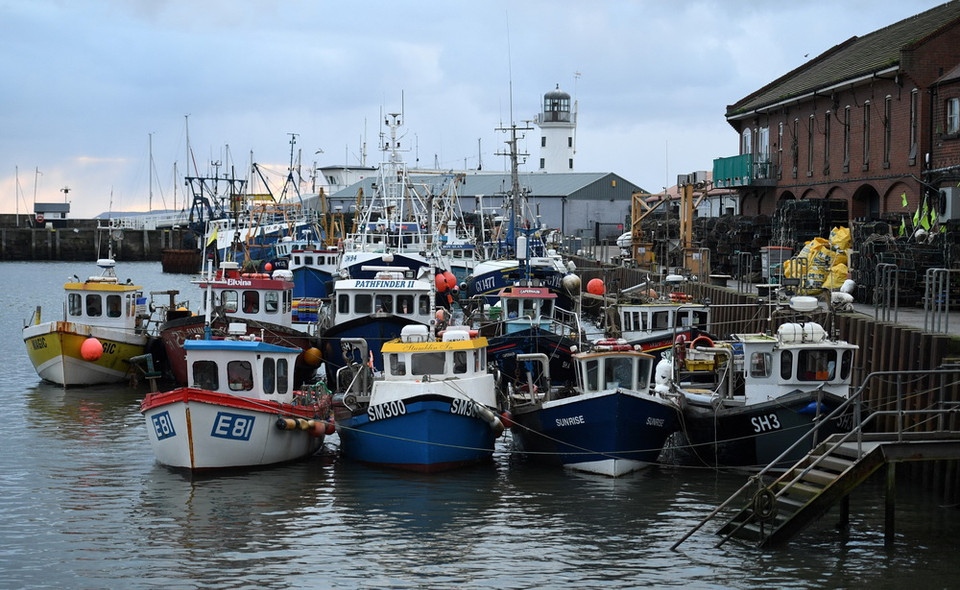 Liên minh châu Âu (EU) và Anh ngày 2/6/2021 đã đạt thỏa thuận về quyền đánh bắt cá trong năm 2021 sau cuộc điện đàm giữa Ủy viên châu Âu phụ trách Môi trường, Đại dương và Ngư nghiệp Virginijus Sinkevicius với Bộ trưởng Môi trường Anh George Eustice. Trong ảnh (tư liệu): Thuyền đánh cá neo tại cảng ở Scarborough, Anh ngày 4/1/2021. (Ảnh: AFP/TTXVN)