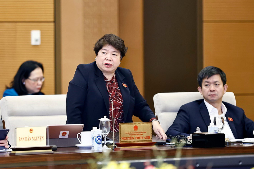 Chủ nhiệm Ủy ban Xã hội của Quốc hội Nguyễn Thúy Anh phát biểu. (Ảnh: Doãn Tấn/TTXVN)